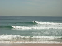 マンリービーチ　　(Manly Beach) 